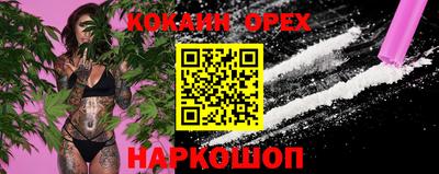 гидропоника Ирбит
