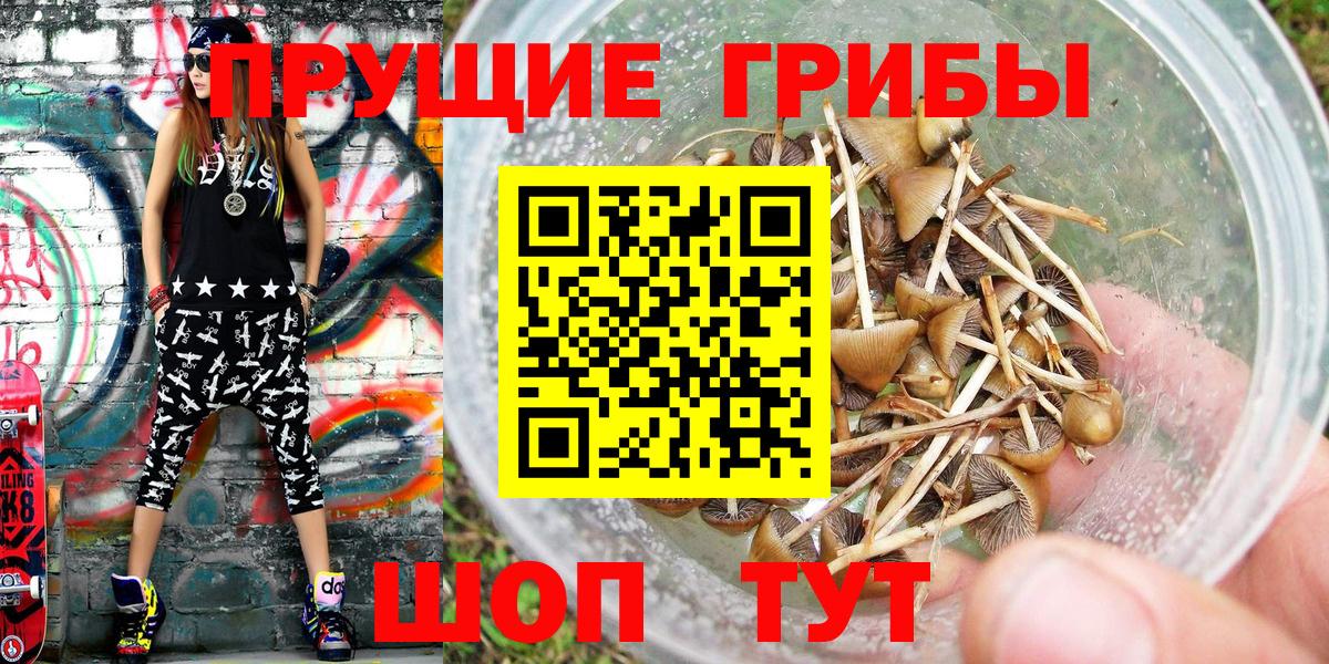 Луга  где купить наркоту  Вход с VPN  Галлюциногенные грибы Psilocybine cubensis  Галлюциногенные грибы GOLDEN TEACHER 